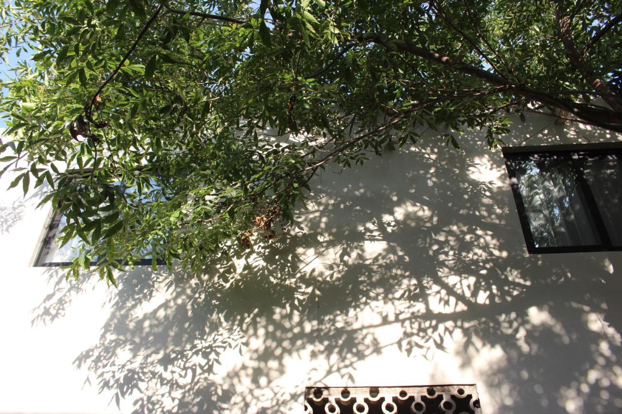 Entre Patios Hotel Boutique León de los Aldamas Extérieur photo